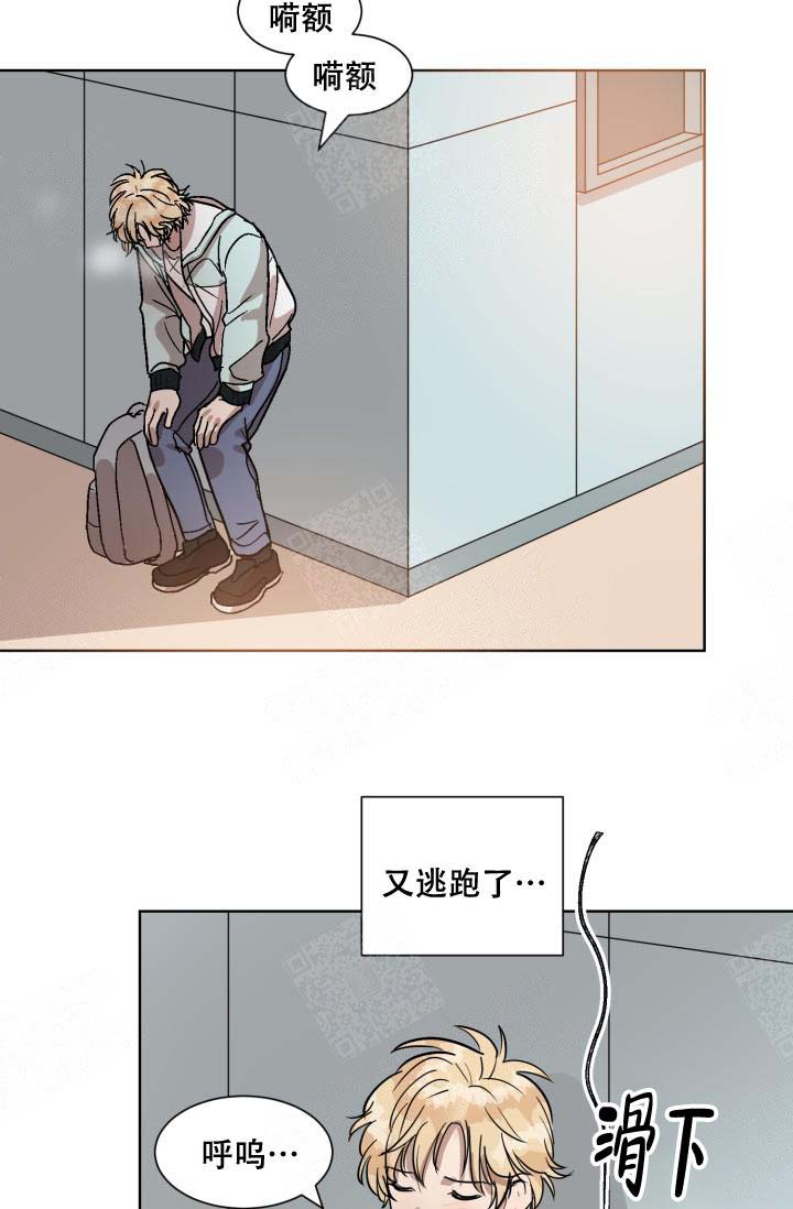 28.jpg