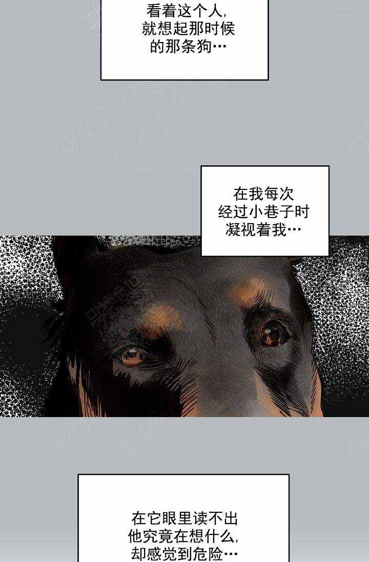 20.jpg