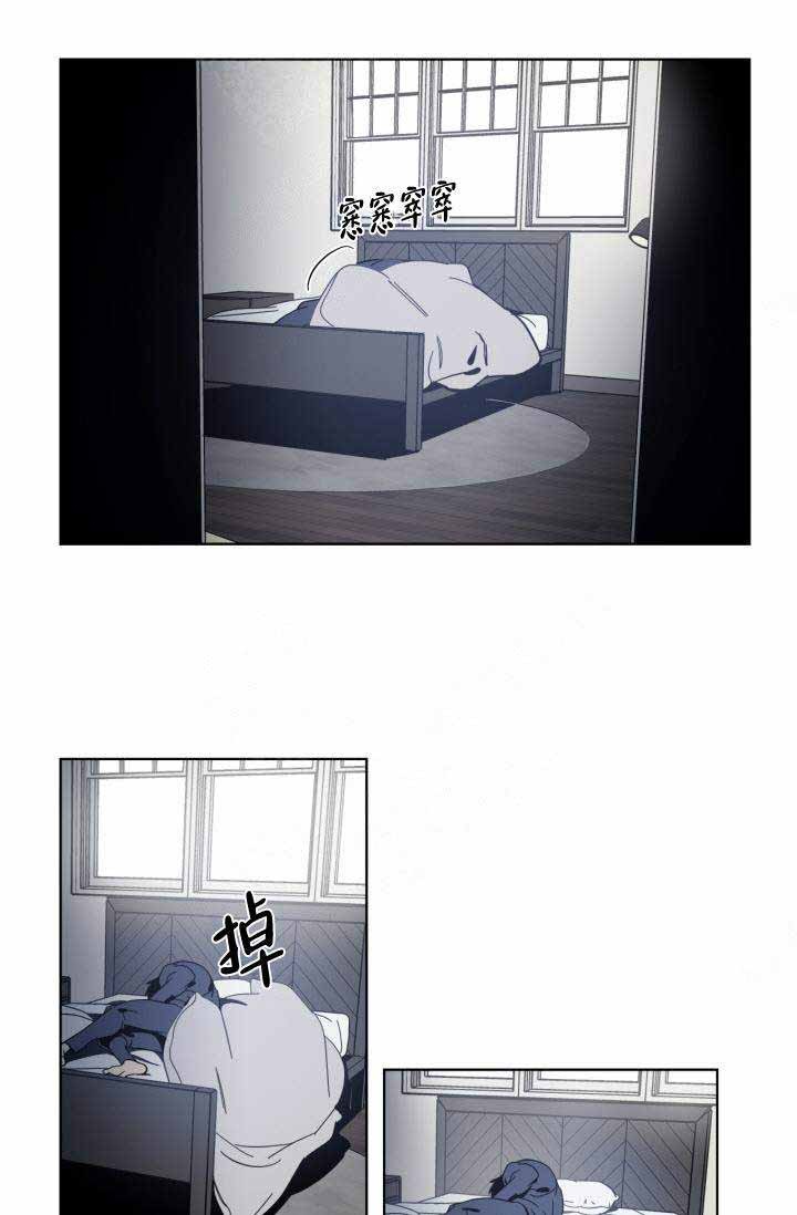43.jpg