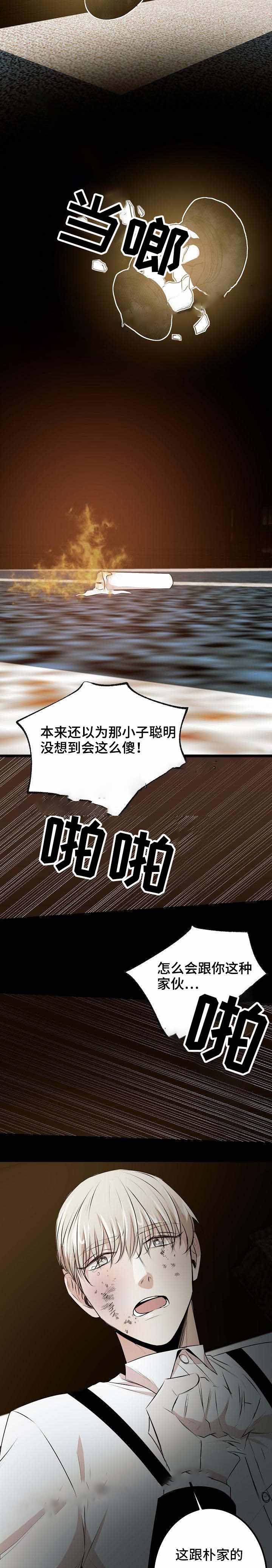 11.jpg