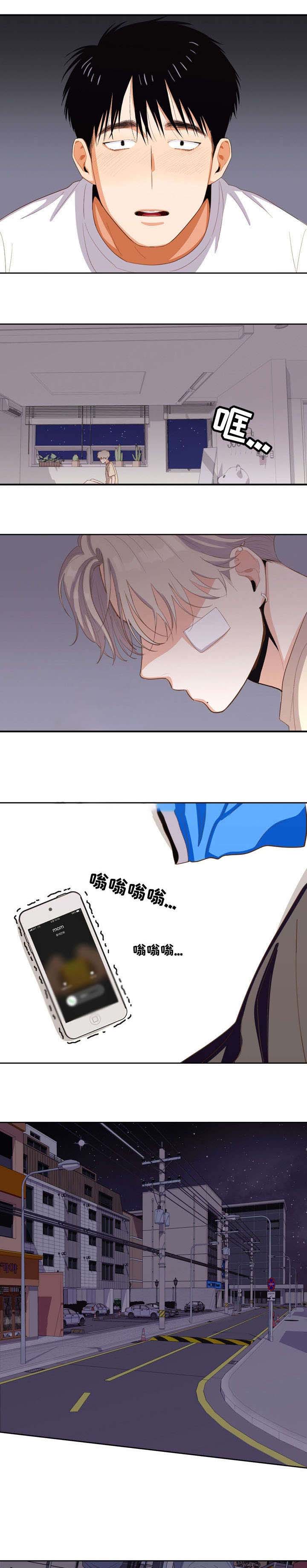 5.jpg