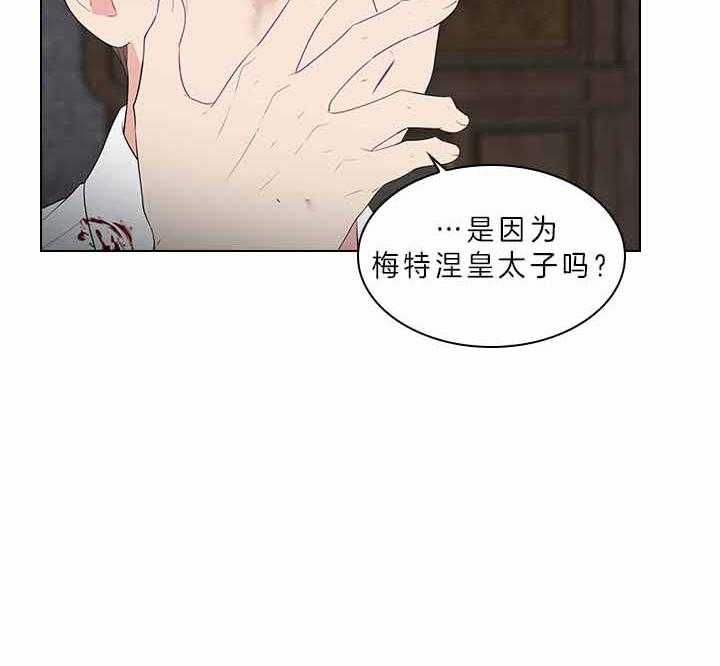 31.jpg
