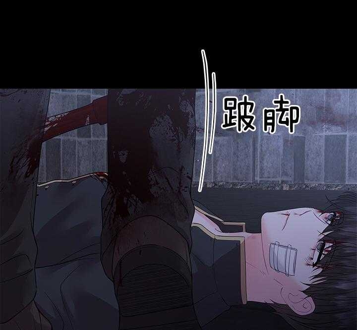 44.jpg