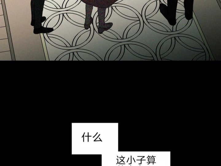 51.jpg