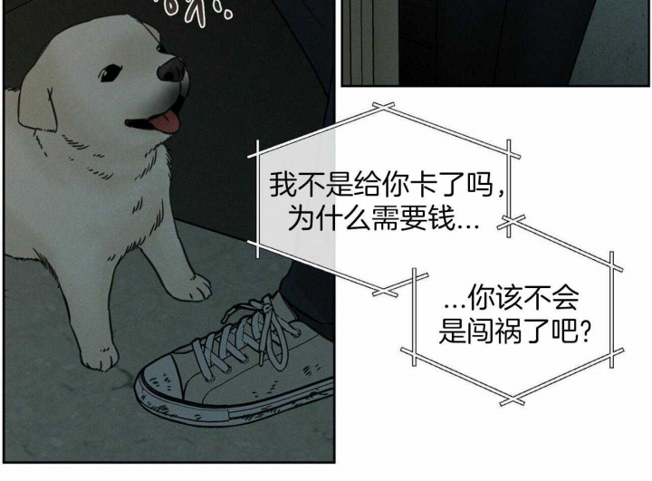 29.jpg