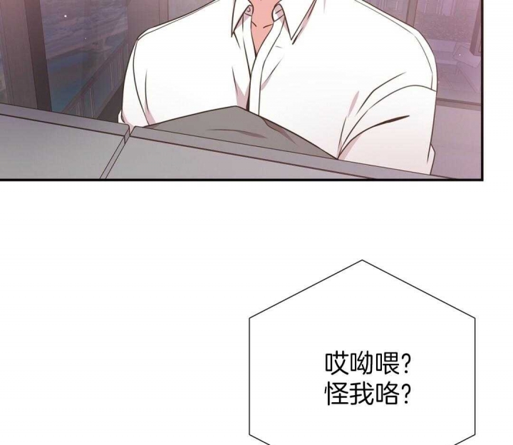 62.jpg