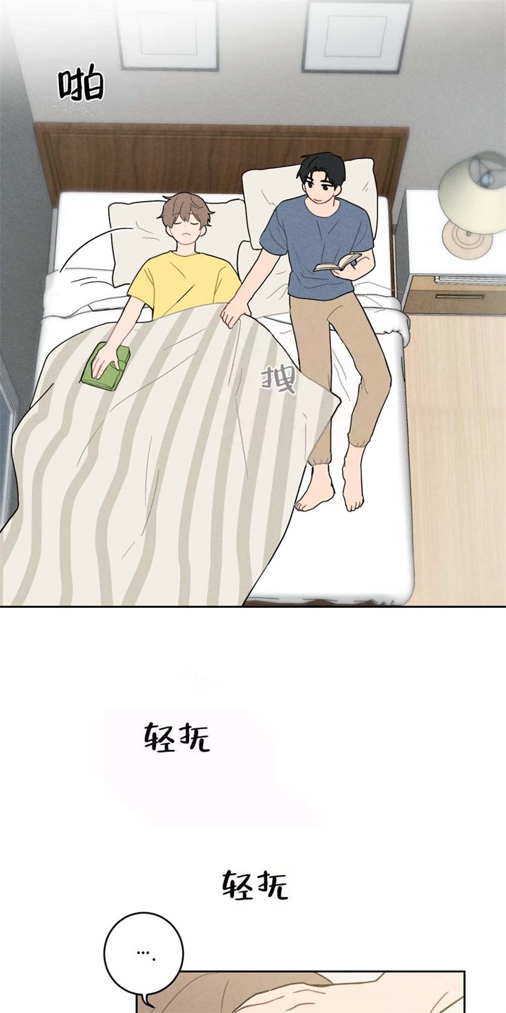 17.jpg