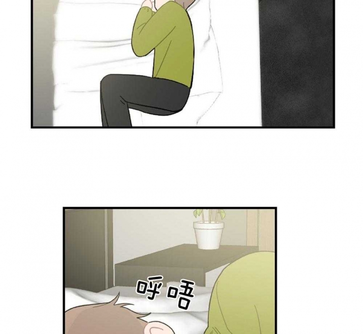 46.jpg