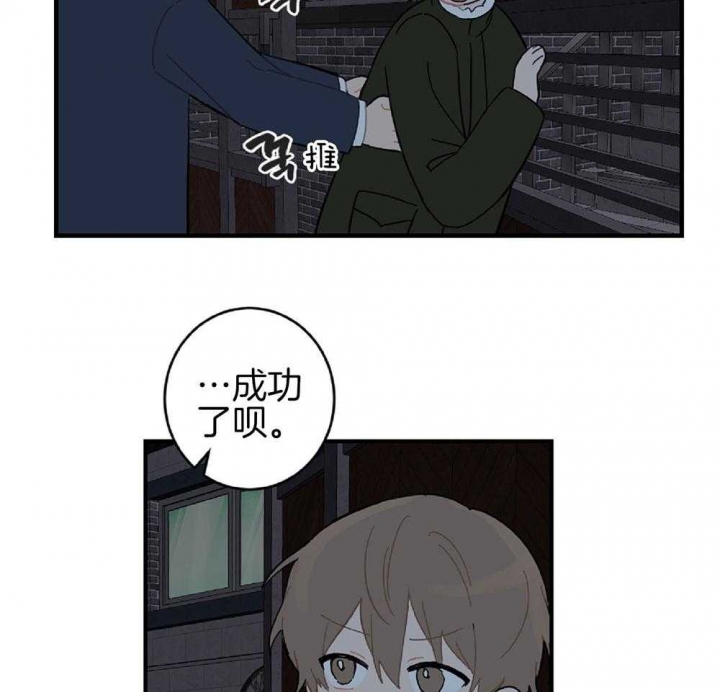 52.jpg