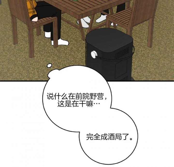 41.jpg