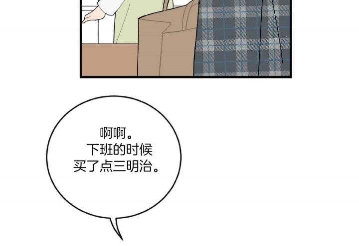 47.jpg