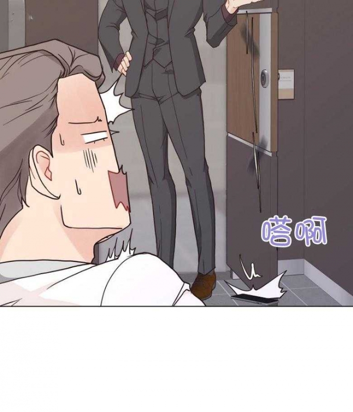 41.jpg