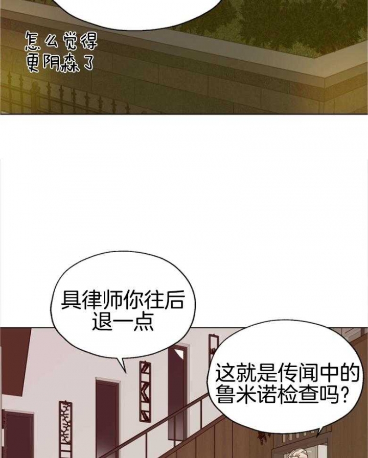 15.jpg
