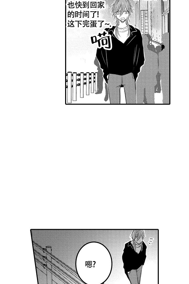 17.jpg