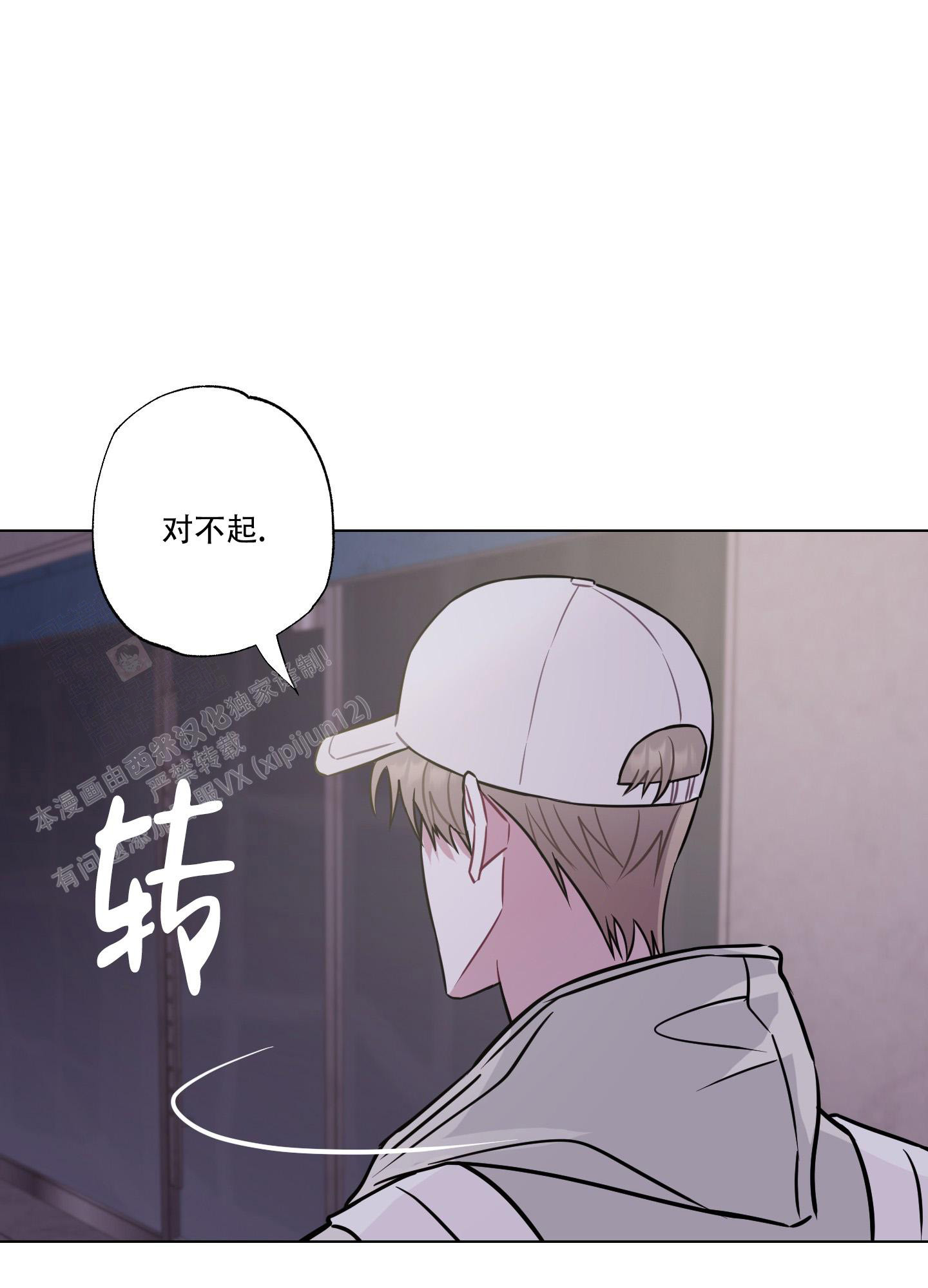 41.jpg