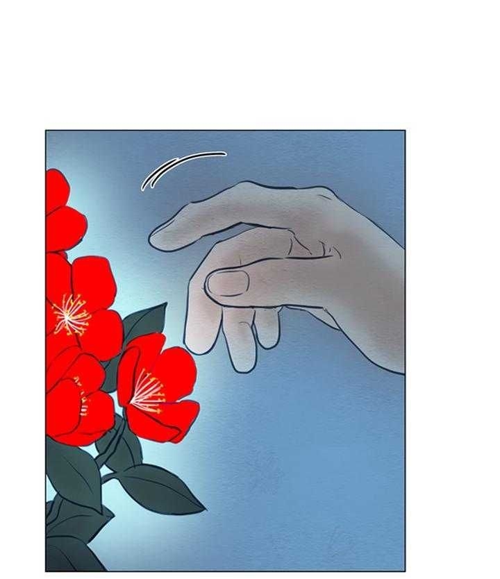 53.jpg