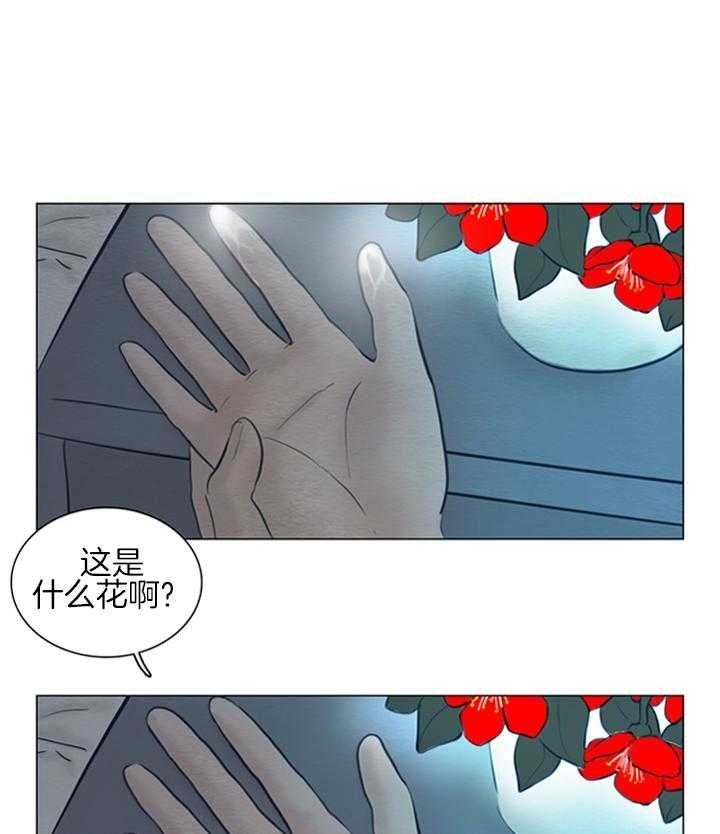 56.jpg