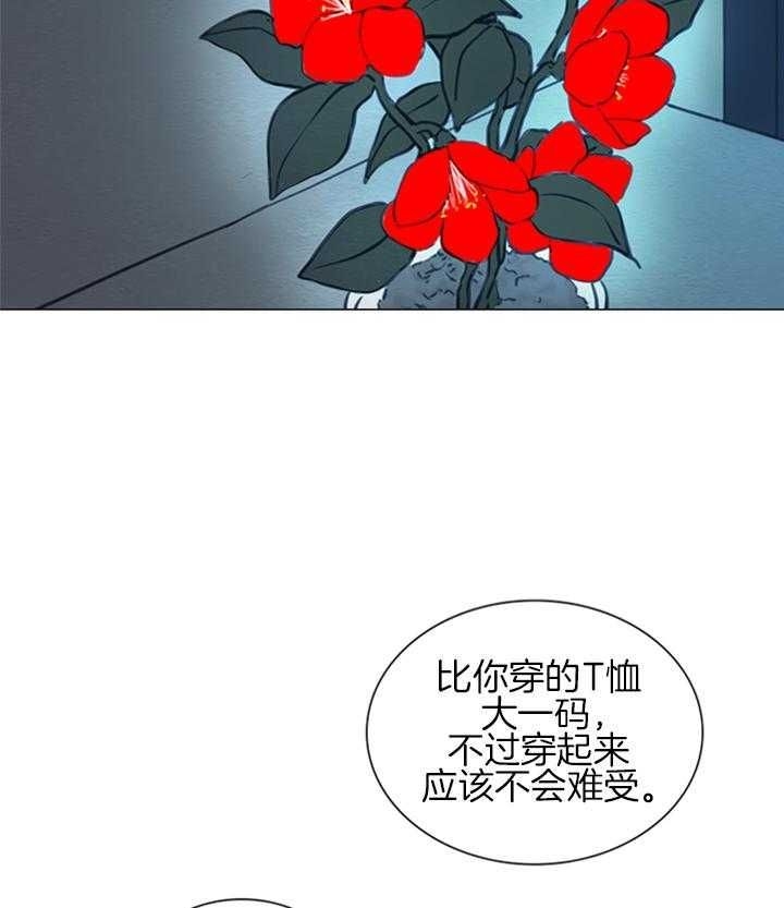 66.jpg