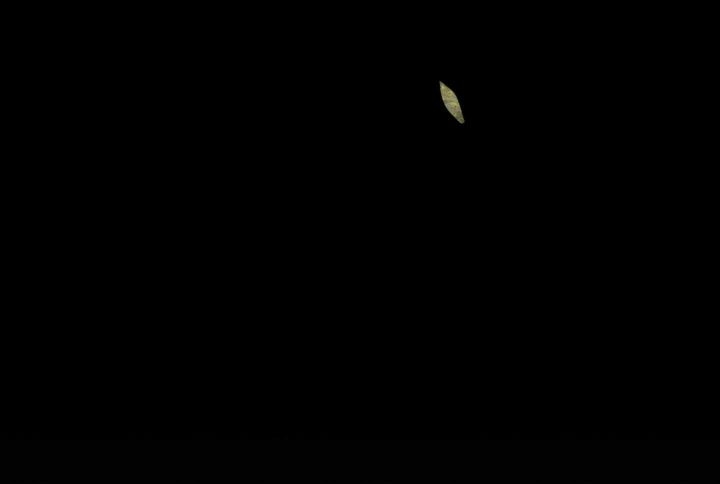 60.jpg