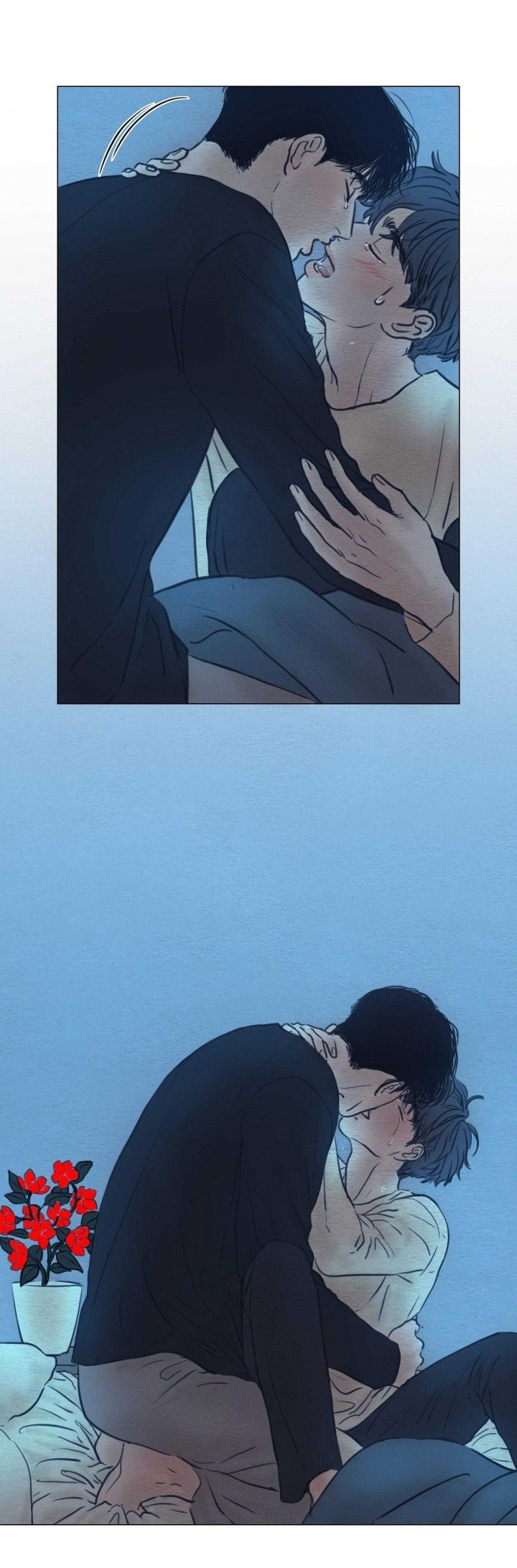 85.jpg