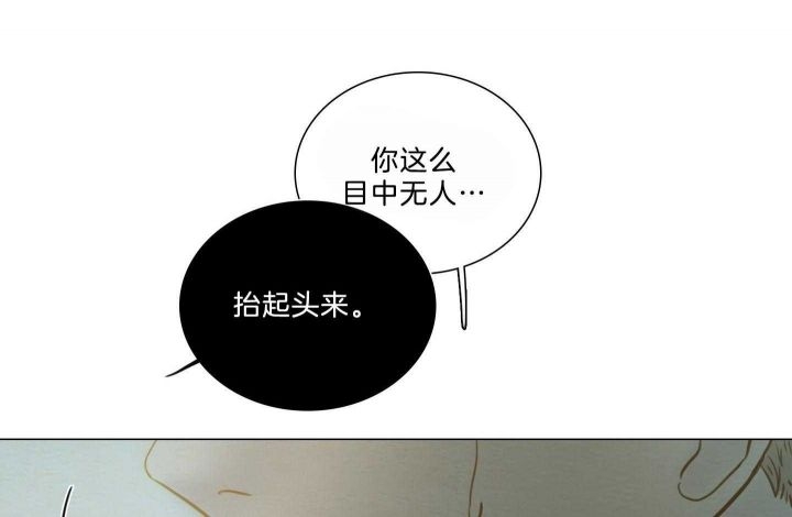 218.jpg
