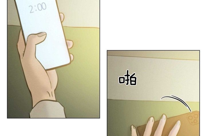 41.jpg