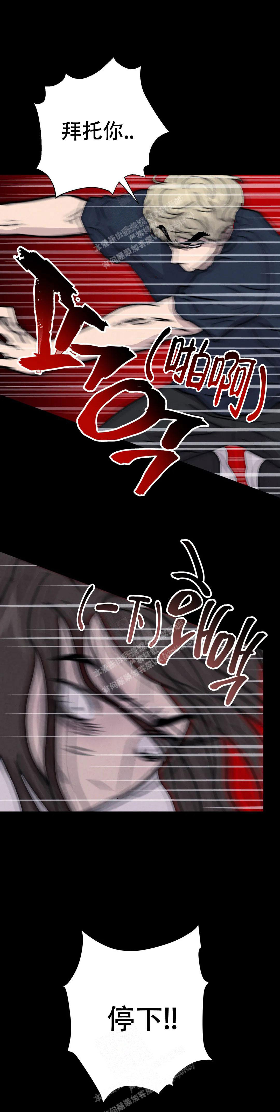 13.jpg