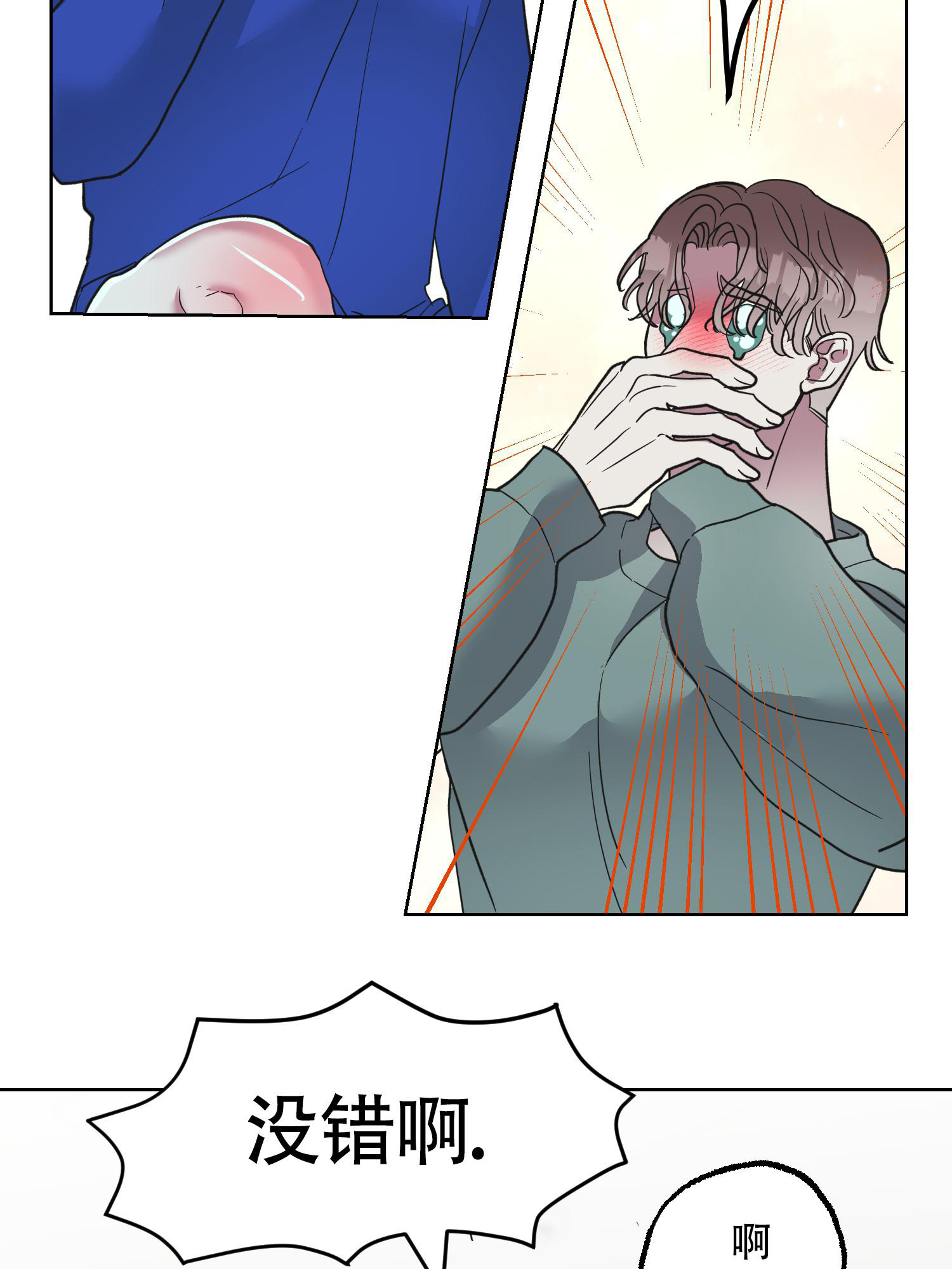 31.jpg