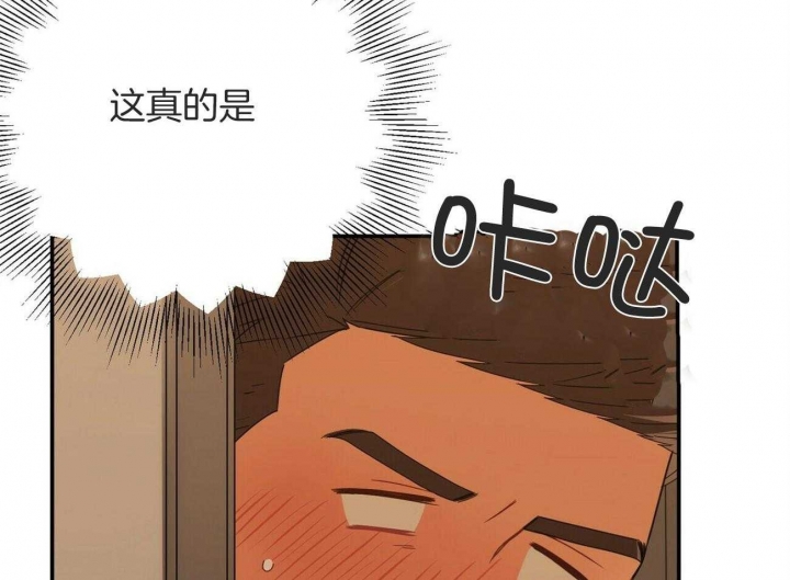 85.jpg