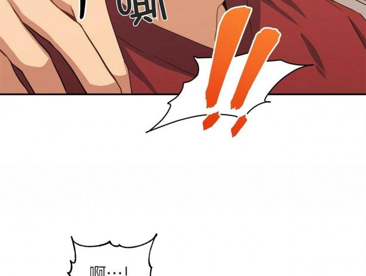 67.jpg
