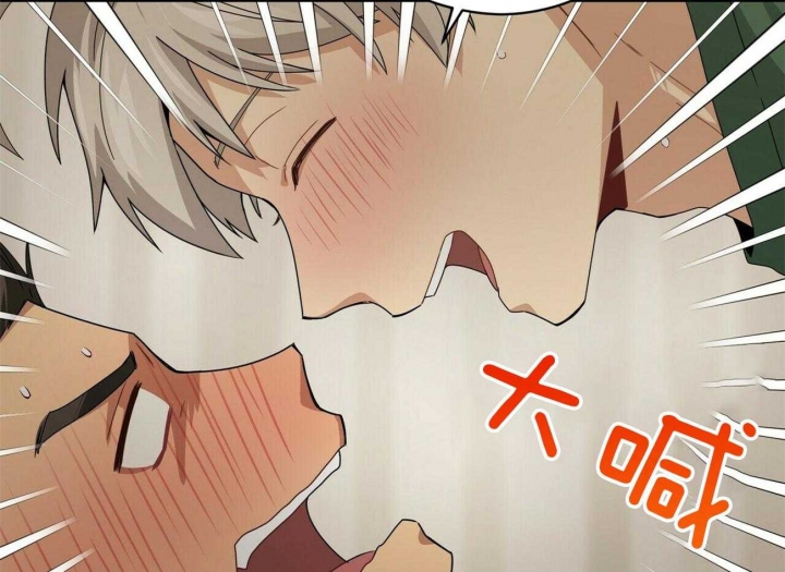 48.jpg