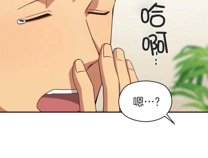 44.jpg