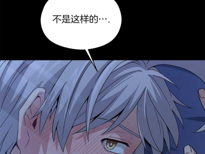 51.jpg