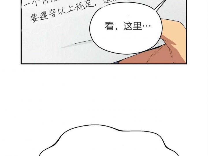 81.jpg