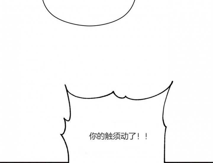 68.jpg