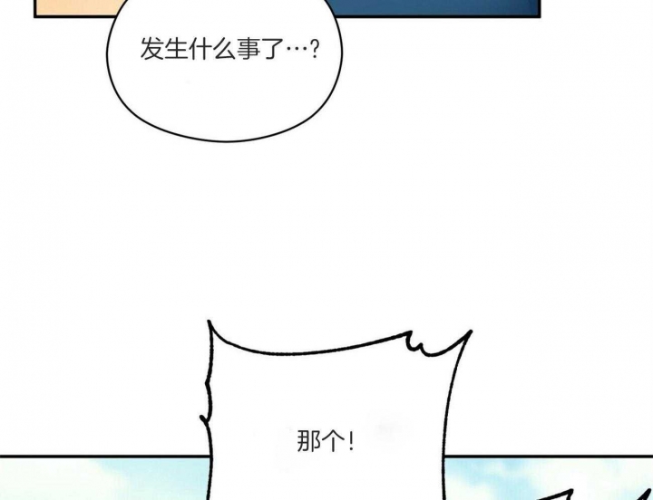 81.jpg