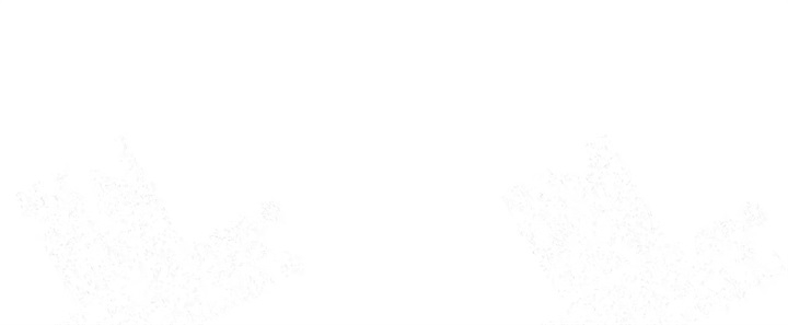 87.jpg