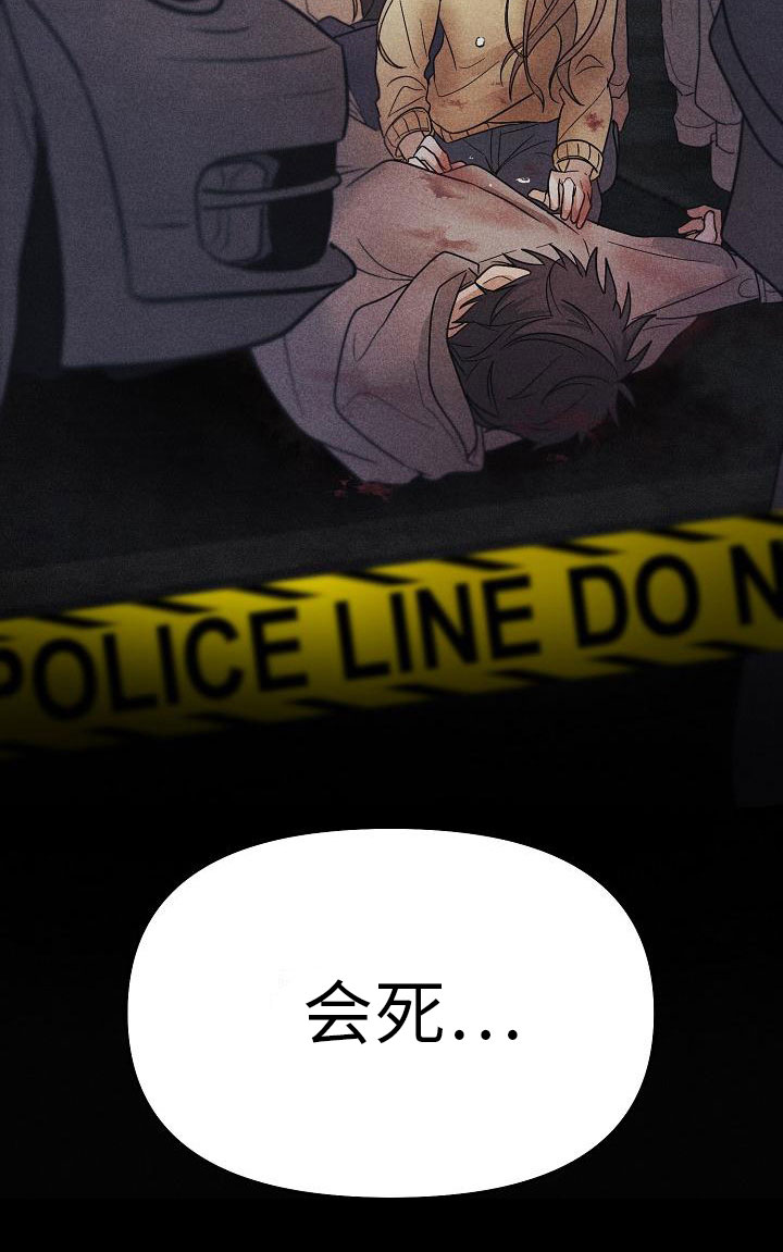 33.jpg
