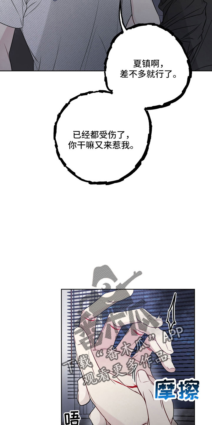 25.jpg