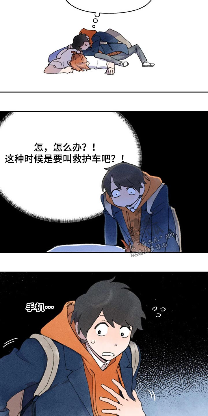 17.jpg