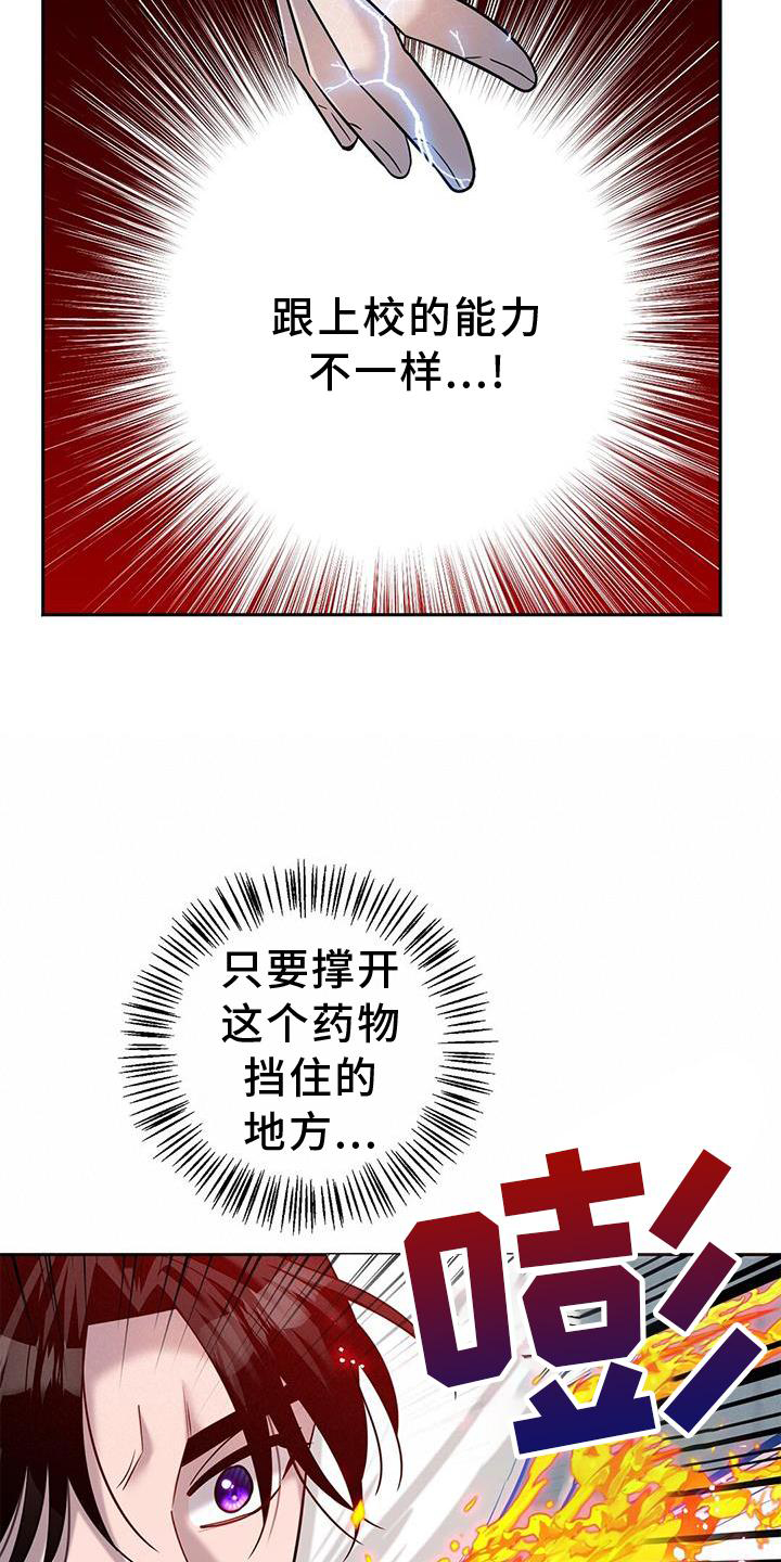 15.jpg