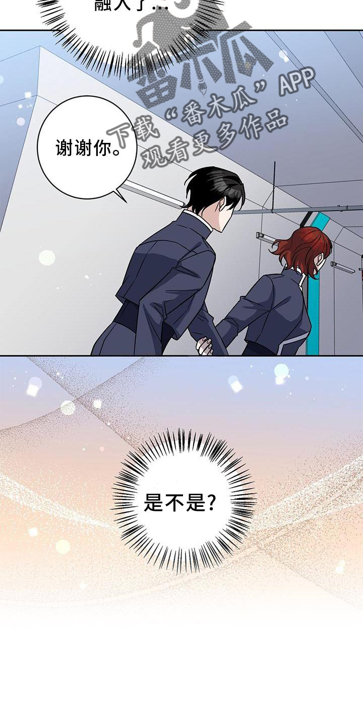 17.jpg