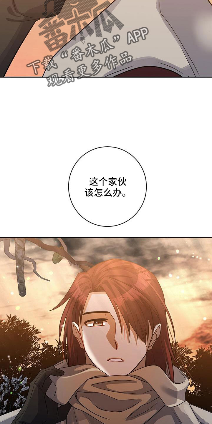 21.jpg