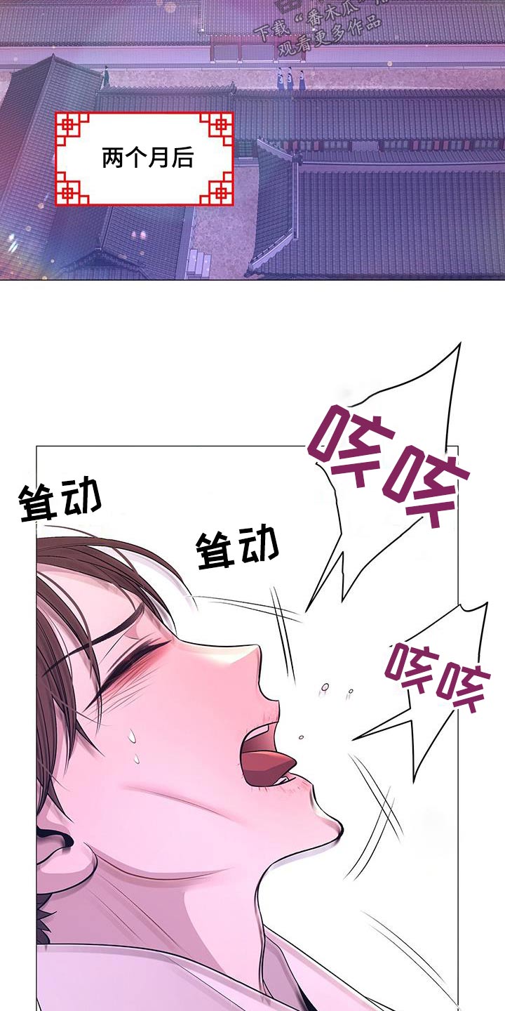 14.jpg