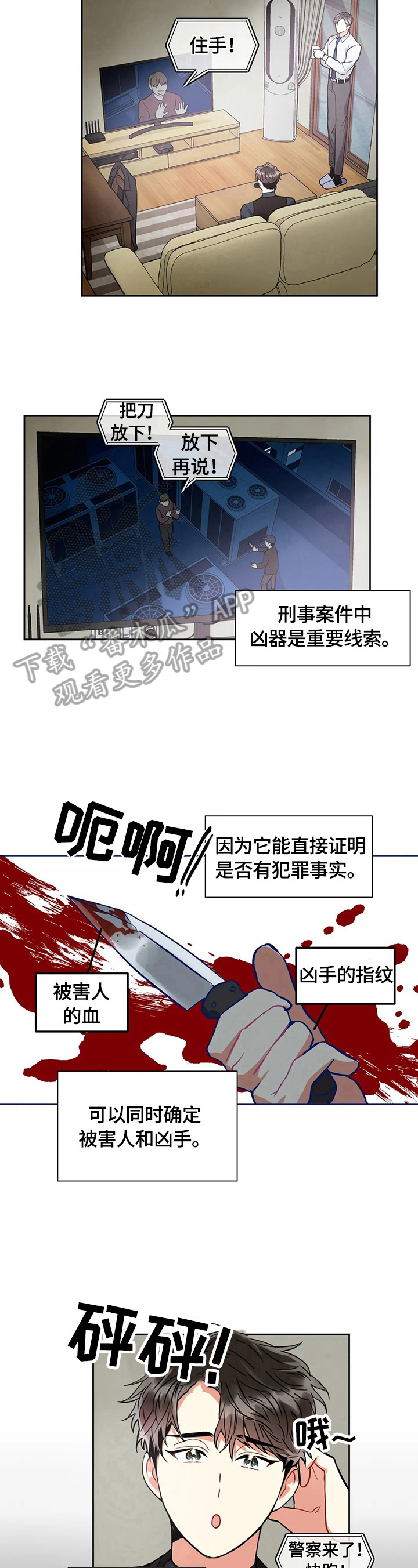 5.jpg