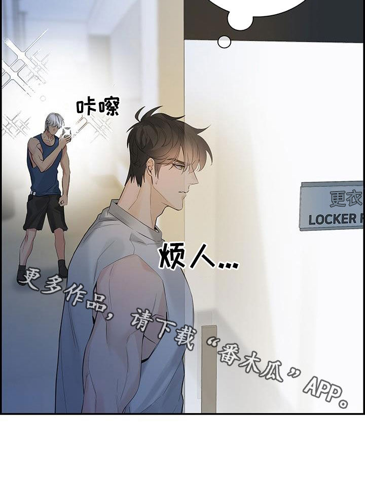31.jpg