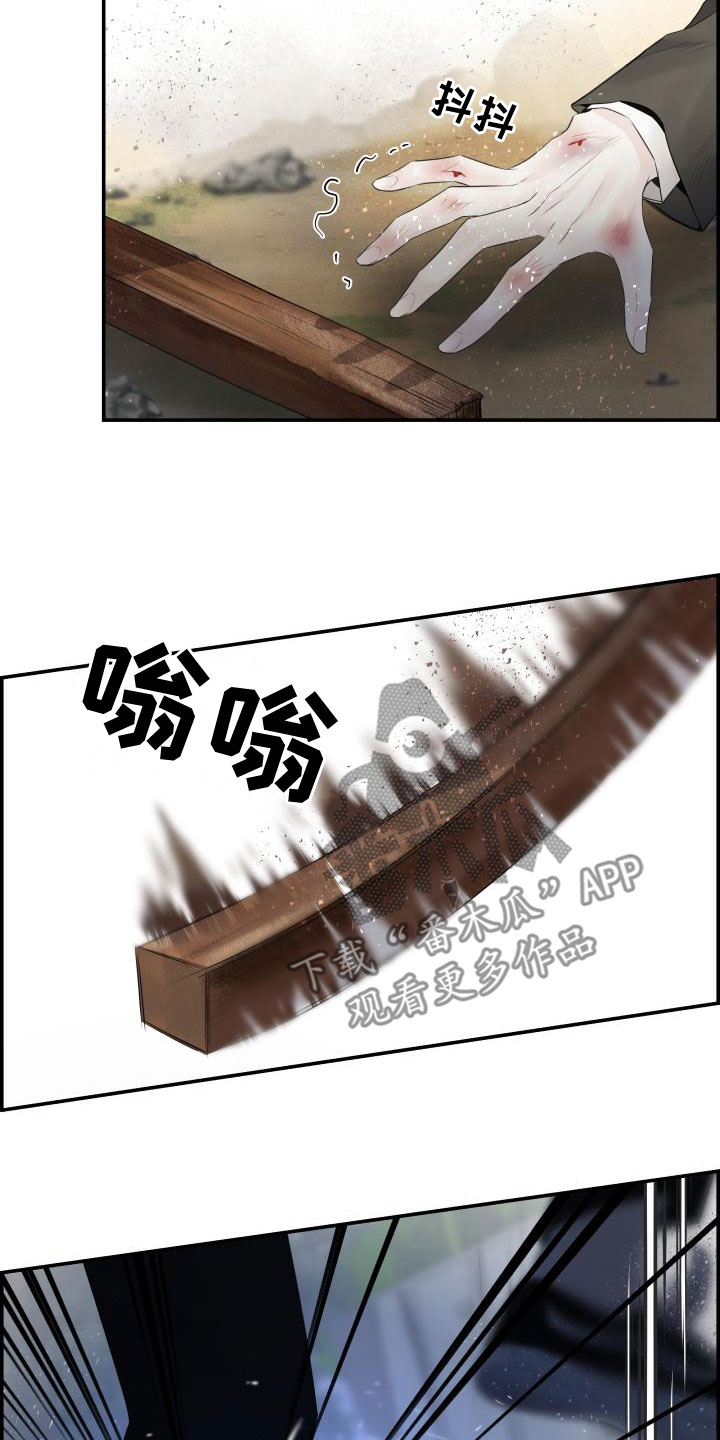 17.jpg
