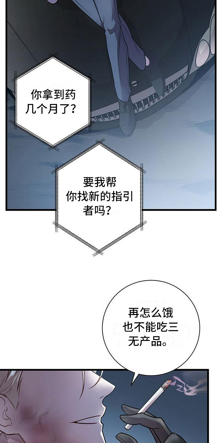 17.jpg