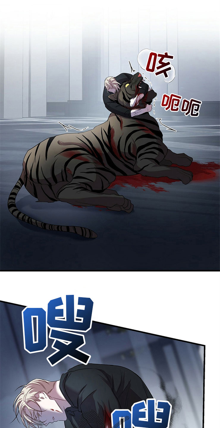 13.jpg