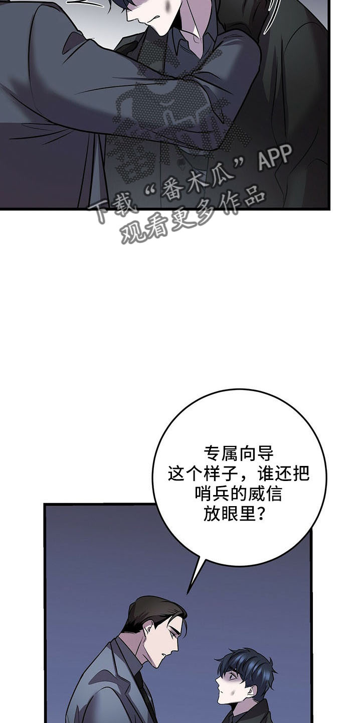 13.jpg